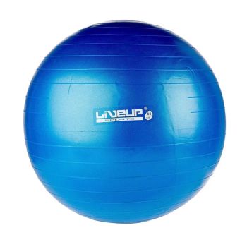 Bola Suiça Premium - 65cm - Azul